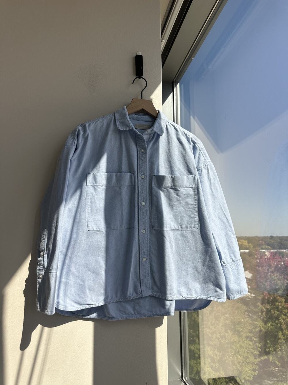 Everlane The Boxy Oxford Light Blue Organic Cotton Shirt Sz S